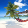 COS – Information voyages sorties + linéaires